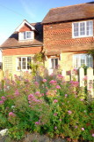 Pretty flowers and shingled cottages .