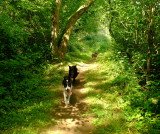 Beth , Max  and  Eddie , on  the  tow  path.