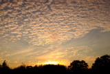 Bubbles  and  wisps  of  cloud , in  a  sunset.