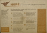 Statue of Hope , description of intent,and details.
