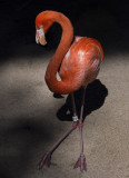 Flamingo 8945