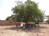 A classroom being held under a tree; women are learning to read their tribal language, just recently put into written form.