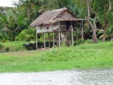 Typical house; on stilts because of water and creatures
