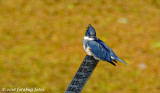 _D7X5010_DxO