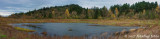 Riparian Pond Beside the Mill Race Path