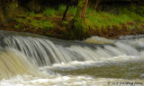 Cascading Waters