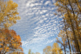 Beautiful Sky Above Clearwater Park