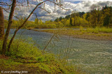 Willamette River Along Middle Fork Path