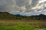 Heavy Clouds Over Raparian Area Along Mill Race Path