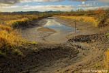 Canal in Fern Ridge Wildlife Area