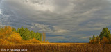 Still Fall Colors at Zumwalt Park
