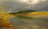 Kirk Pond