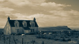 Desolate farm.jpg