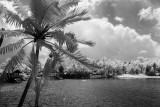 20180520-095555-IMGP0004.JPG