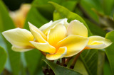 20180519-105936-K52C0075.JPG