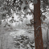 DESCHUTES RIVER AND TRIBUTARIES