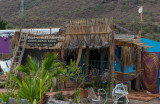Juncalito / Loreto