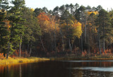 Myrtle Lake scene copy.jpg