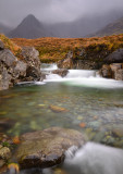 DSC_3072_plus_crop1_pbase.jpg