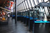 NORWEGIAN PETROLEUM MIUSEUM