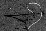 WhiteOnBlackShadow-0362.jpg