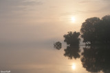 Ambiance matinale sur le Danube