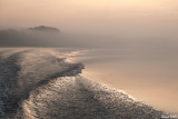 Ambiance matinale sur le Danube