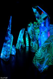 Le monde du cristal Swarovski