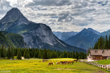 Ehrwalder Alm