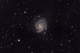 M101