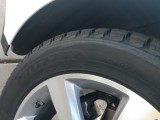 IMG_20181115_135312977.jpg