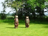 Bears at Whitbarrow Village