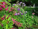 Lovely garden at nearby village of Greystoke