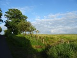 DSC07976