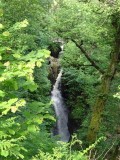 Aira Force