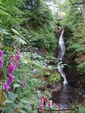 Aira Force