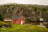 Quidi Vidi Harbour