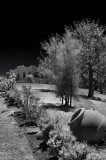 Savannah Chanelle Winery - Saratoga CA