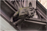 Gargouille cathédrale de Strasbourg