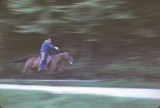 8-30_Otocec Horse and Rider.jpg