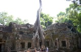 Ta Prohm