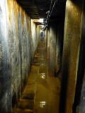 Down in the tunnel