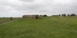 Field