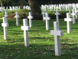 Crosses