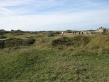 Bombed ground