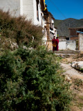 DSCF0557.jpg