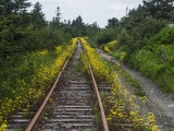 20160723-2879 Avondale NL.jpg