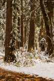 RockportStatePrkSnow110317.jpg