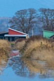 SamishFlats010119.jpg