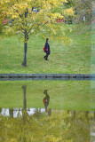 DSC03829ap.jpg